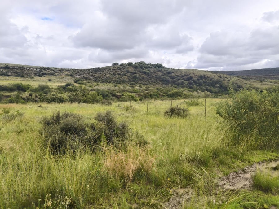 0 Bedroom Property for Sale in Jamestown Eastern Cape